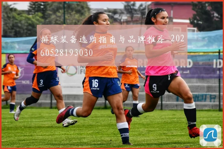 排球装备选购指南与品牌推荐_20260528193030