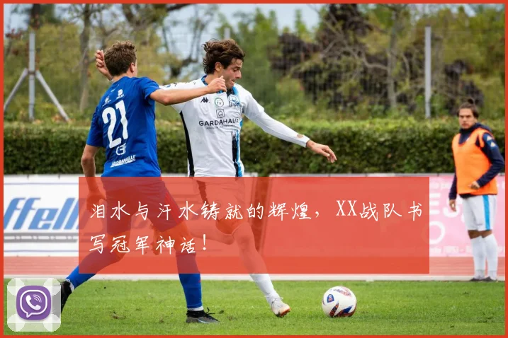 泪水与汗水铸就的辉煌，XX战队书写冠军神话！