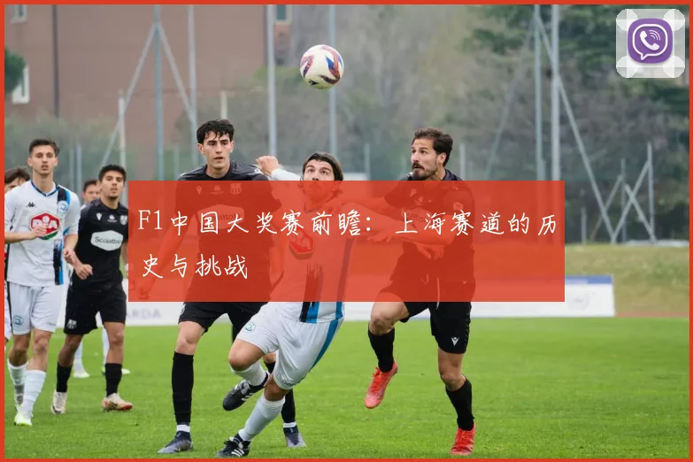 F1中国大奖赛前瞻：上海赛道的历史与挑战