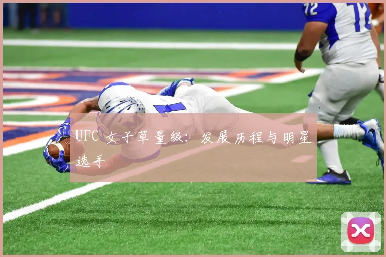 UFC 女子草量级：发展历程与明星选手