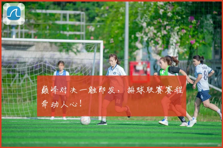 巅峰对决一触即发，排球联赛赛程牵动人心！