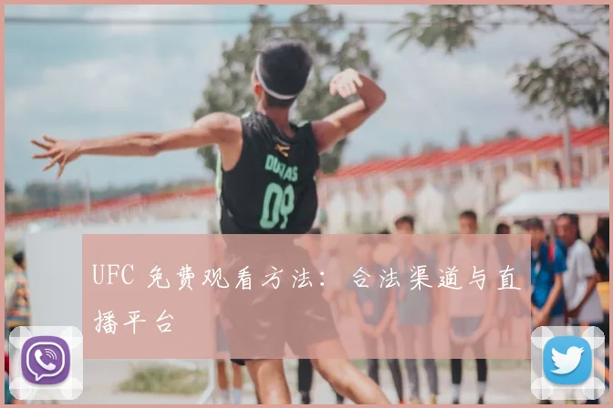 UFC 免费观看方法：合法渠道与直播平台