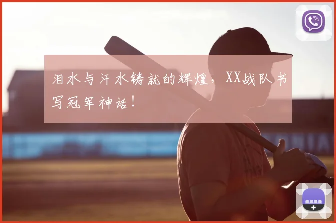 泪水与汗水铸就的辉煌，XX战队书写冠军神话！
