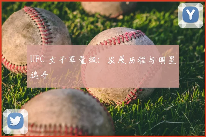 UFC 女子草量级：发展历程与明星选手