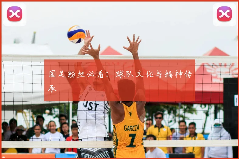 国足粉丝必看：球队文化与精神传承