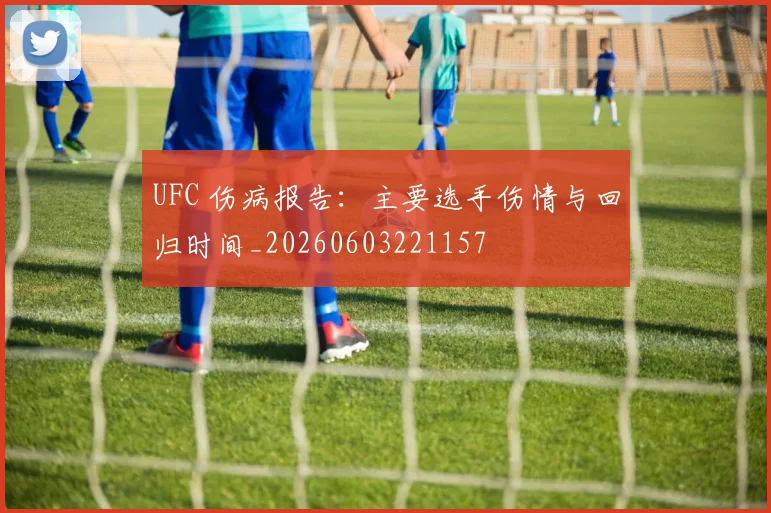UFC 伤病报告：主要选手伤情与回归时间_20260603221157